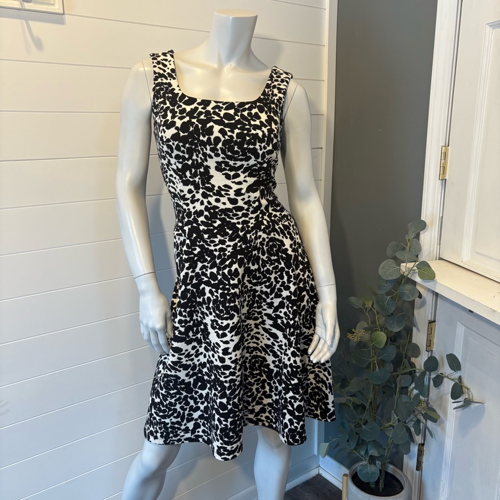 Elegant Black Label Monochrome Midi Dress